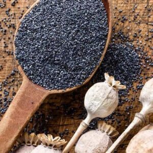 Poppy Pod Seeds, poppy pods flower, opium, washed poppy pod seeds, poppy pods canada