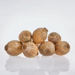 Dried poppy pods, organic pods, dry poppy pods, organic dried pods, Dry poppy heads